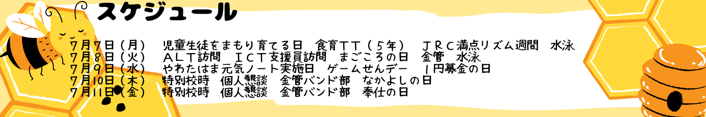 毎週のスケジュール