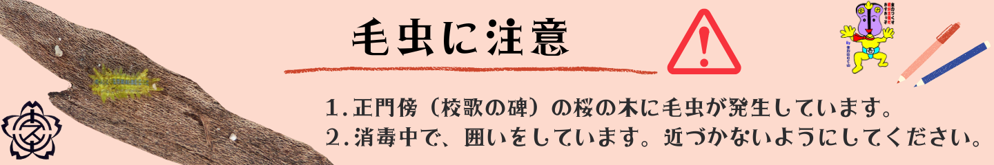 毎週のスケジュール (1)
