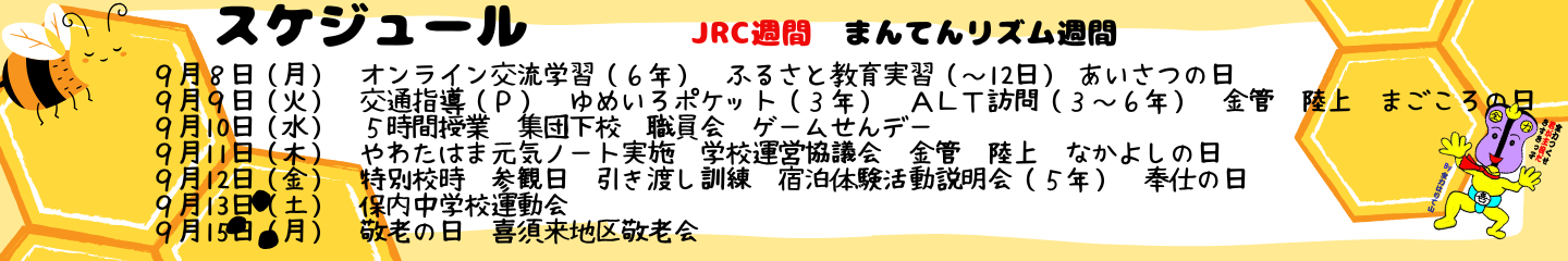 毎週のスケジュール