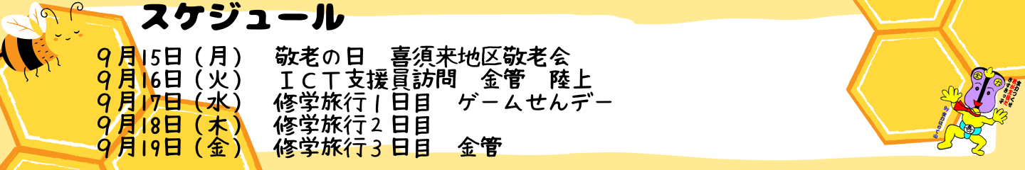 毎週のスケジュール