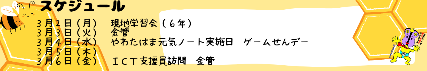 毎週のスケジュール