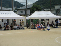 12⑤