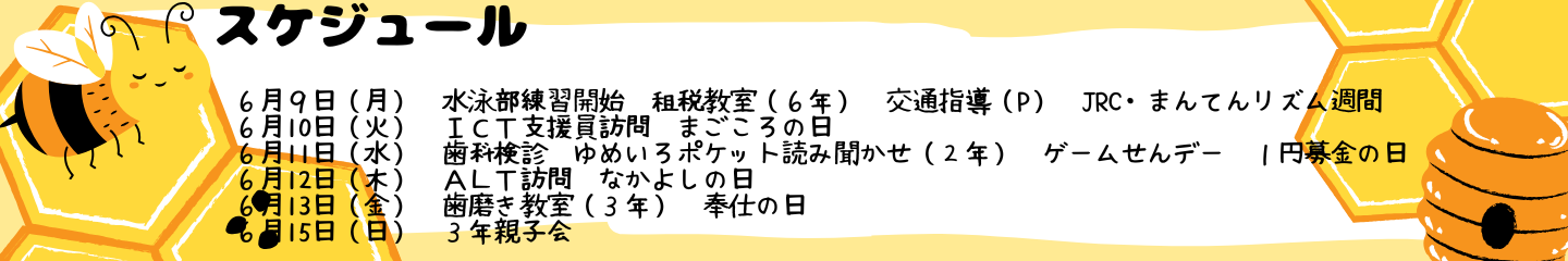毎週のスケジュール