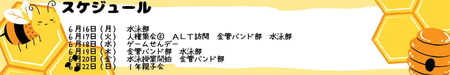 毎週のスケジュール