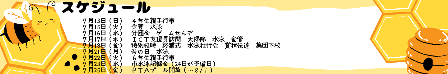 毎週のスケジュール