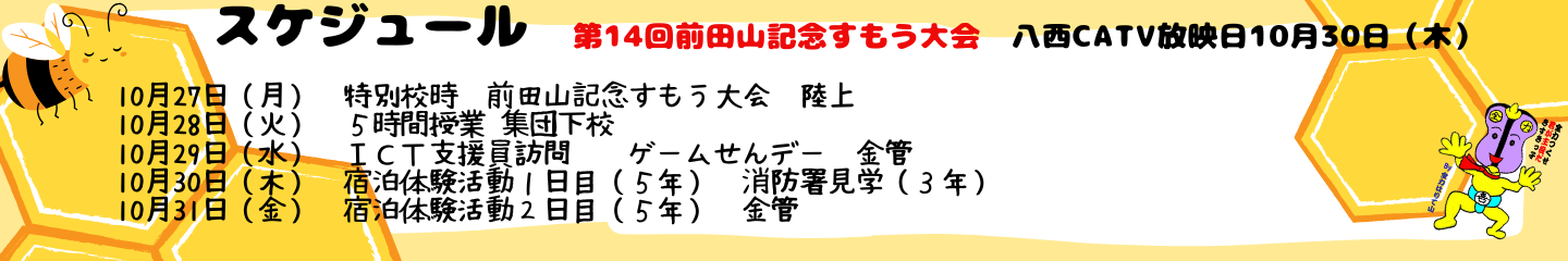 毎週のスケジュール
