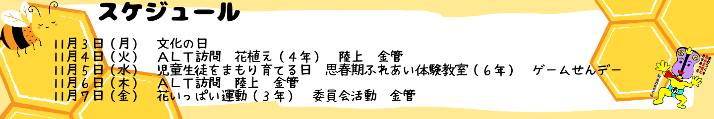 毎週のスケジュール