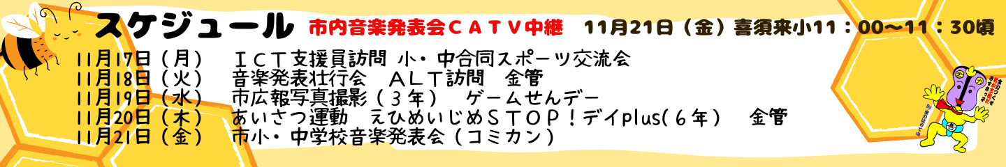 毎週のスケジュール