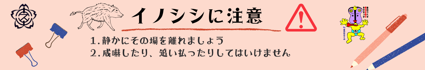 毎週のスケジュール
