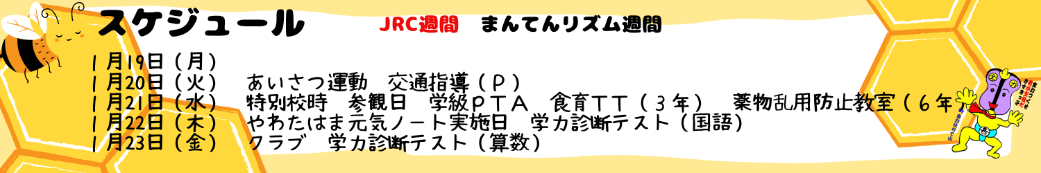 毎週のスケジュール