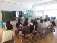 ６年②